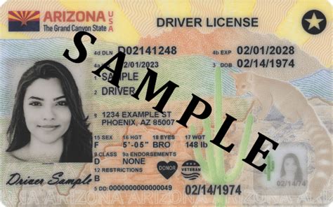 New Arizona Driver License