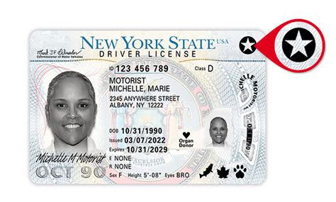 New York Driver's License Duplicate