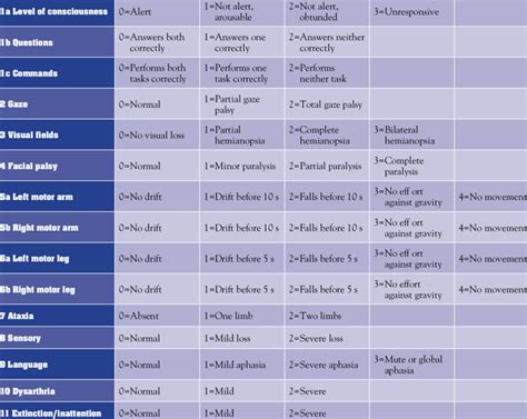 NIH Stroke Scale Components