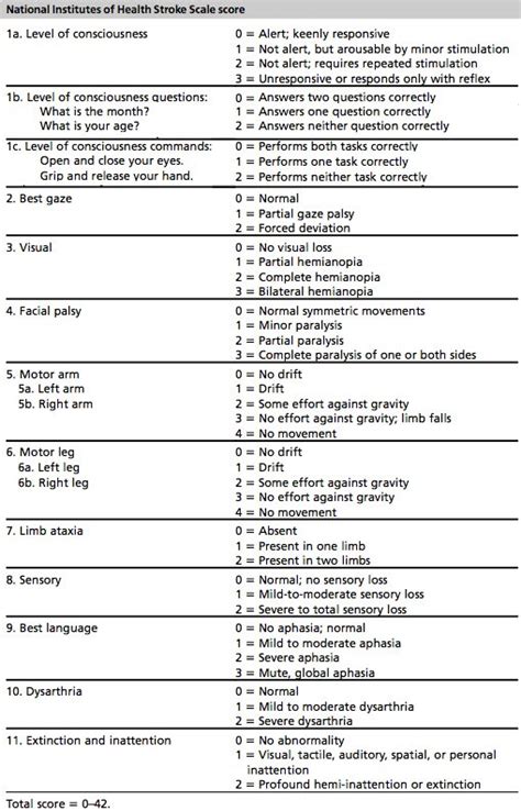 NIH Stroke Scale Pocket Card Example