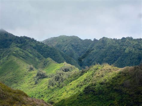 Niu Valley