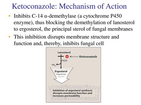 Nizoral Mechanism of Action