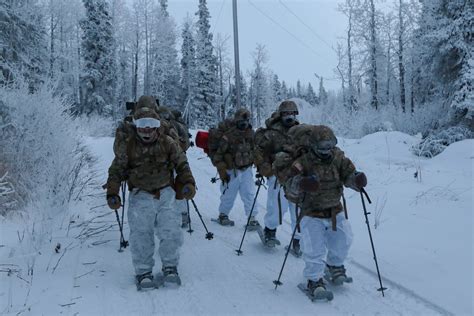 Soldiers training in the Arctic environment