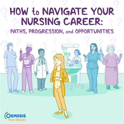 Nurse Executive Career Path