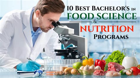 Nutrition Education Programs