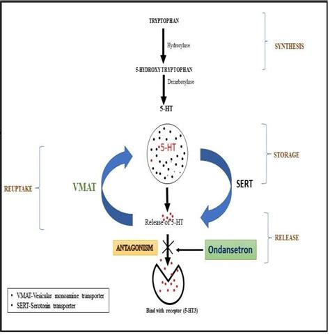 Ondansetron Mechanism of Action