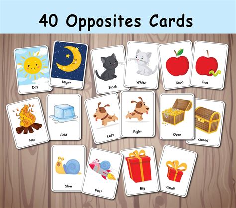 Opposites Matching Game Image