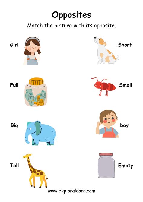 Opposites Worksheets for Kindergarten Image