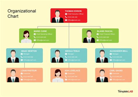 Organization Chart Template Example 1