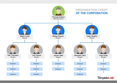 Organization Chart Template Example 2