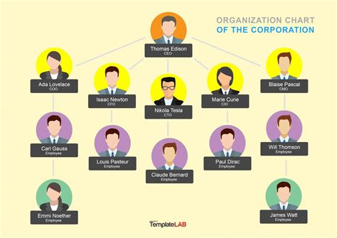 Organization Chart Template Example 7