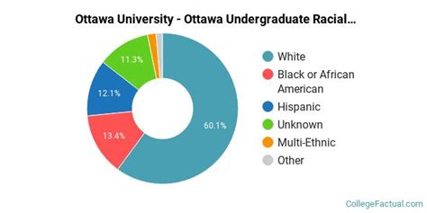 Ottawa Ethnic Diversity Chart