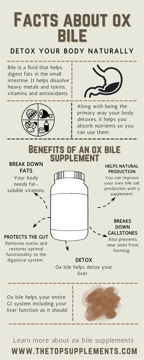 Oxbile Supplement Benefits