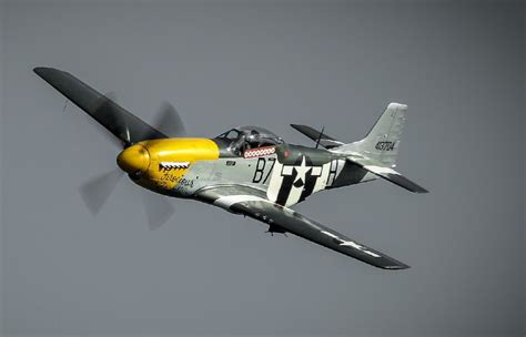 P-51 Mustang in Flight