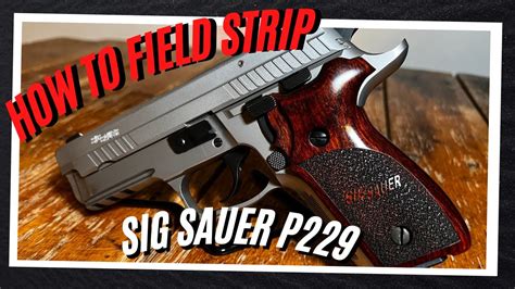 P229 Sig Sauer Disassembled