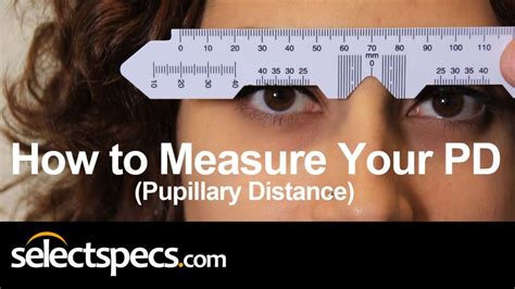 PD Measurement Template