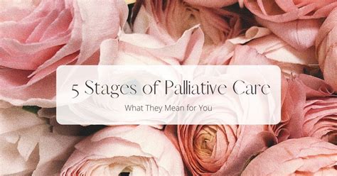 Healthcare professionals supporting patients and families in palliative care settings