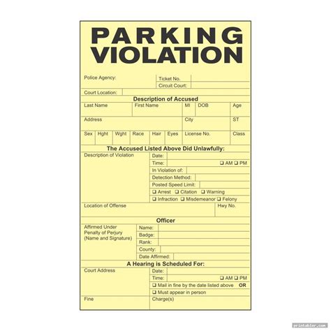 Parking Ticket Templates Example