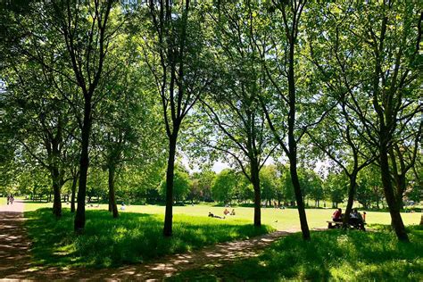 Parks and Green Spaces in Navy Yard