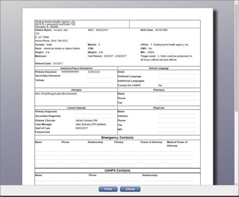 Patient Data Section Example