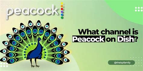 Peacock On Dish Network Availability