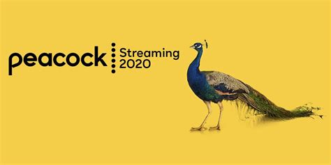 Peacock Streaming Service