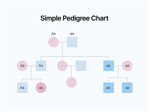 Pedigree Chart