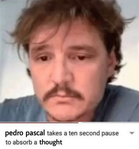 Pedro Pascal meme relatable