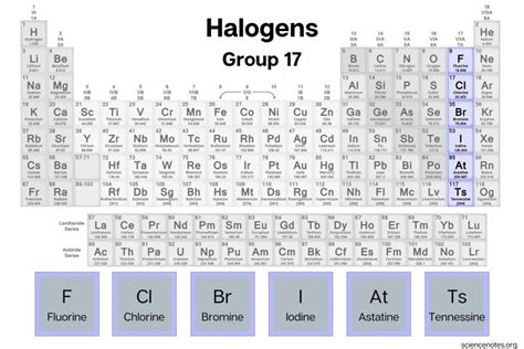 Periodic Table Halogens