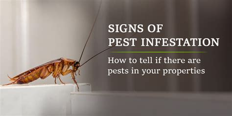 Pest Infestations