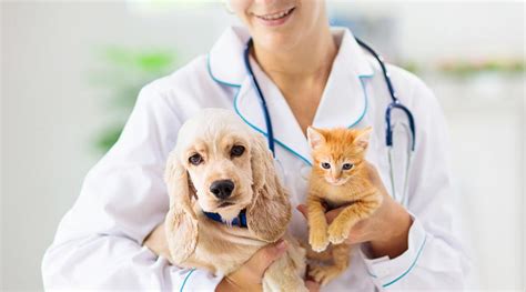 Pet Care Professionals