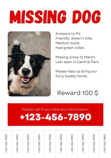 Pet lost and found template example