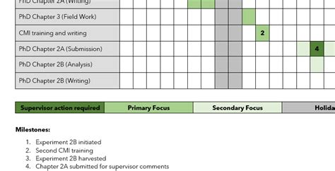 PhD Timeline Templates Example