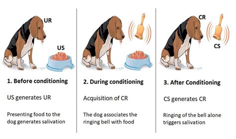 Phase 1 Conditioning