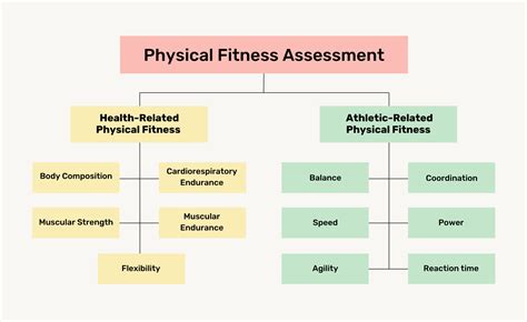 Physical Fitness Assessment Process