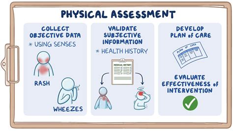 Physical Health Assessment Process