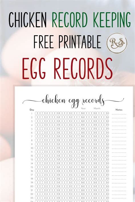 Poultry Record Keeping Templates For Easy Farm Management