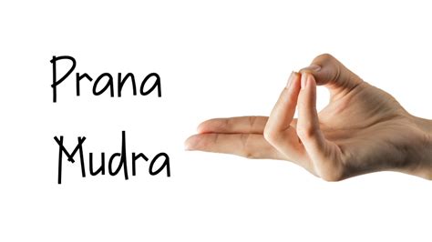 Prana Mudra, the mudra of life force