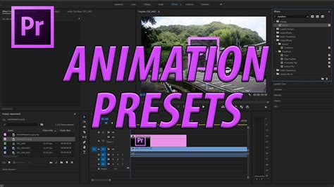 Premiere Pro Animation Preset 7