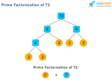 Prime Factorization Verification