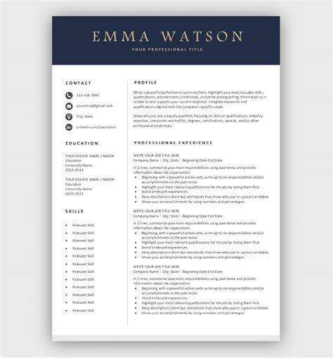 Example of a Professional Free Resume Template