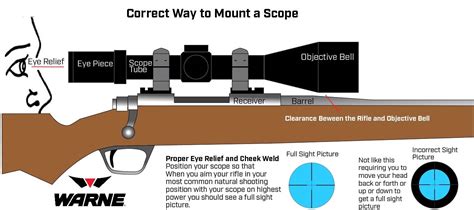 Proper Mounting and Zeroing