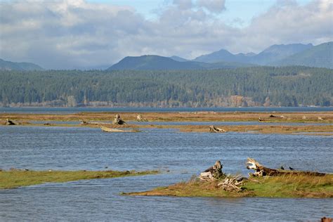 Habitat Destruction and Degradation