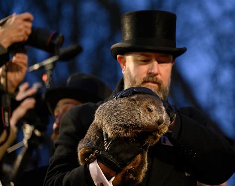 Punxsutawney Phil