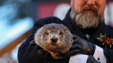 Punxsutawney Residents