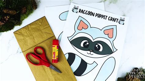 Raccoon Puppet Craft Ideas