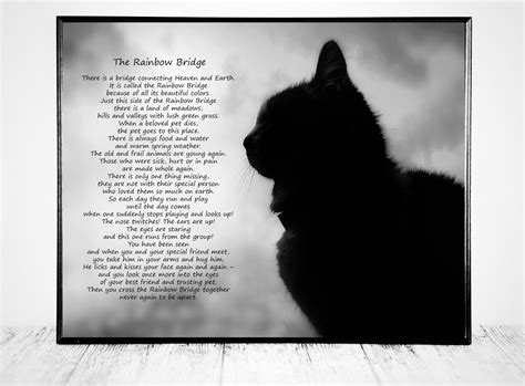 Rainbow Bridge Poem Printable for Cats