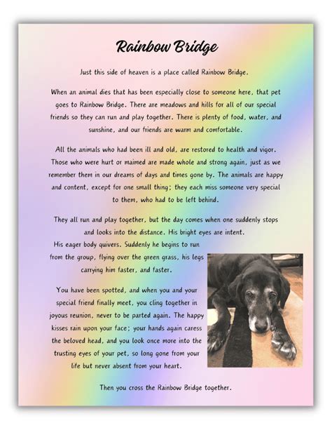 Rainbow Bridge Poem Printable with Photo