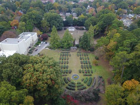 Raleigh Little Theatre's Rose Garden