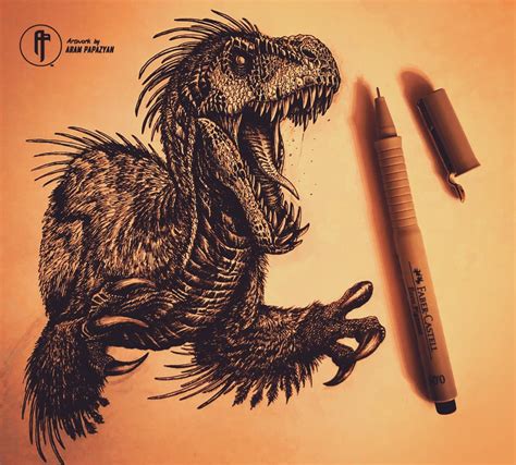 Raptor Illustrations